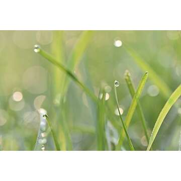 TAMRON 90 mm F2.8 VC USD Lens for Canon DSLR Camera, F017E