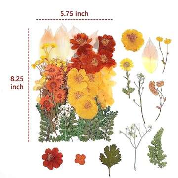 100 PCS Real Dried Pressed Flowers Leaves Natural Plant Herbarium for DIY Resin Mold Jewelry Making Craft (20 Styles)-Fall Yellow Orange