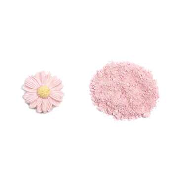 Pink Petal Dust | Light Pink Matte Powder | Premium Decoration Dust for Cake Accessories | Sugar Fondant Powder | DIY Crafting | Non-Toxic | Pigmento Rosa | 4 Grams