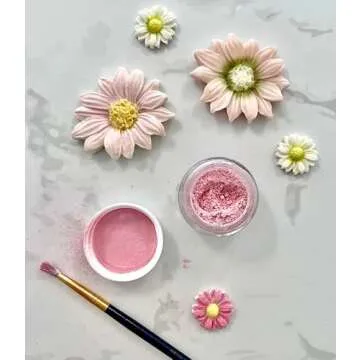 Pink Petal Dust | Light Pink Matte Powder | Premium Decoration Dust for Cake Accessories | Sugar Fondant Powder | DIY Crafting | Non-Toxic | Pigmento Rosa | 4 Grams