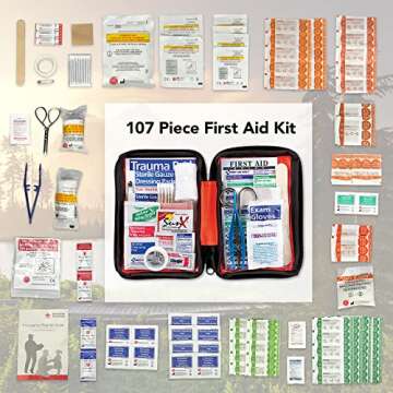 Ready America 72 Hour Emergency Kit for Four People