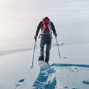 Lightweight Tuxedo Sailor 25" Snowshoes - Enjoy Winter Adventuring!