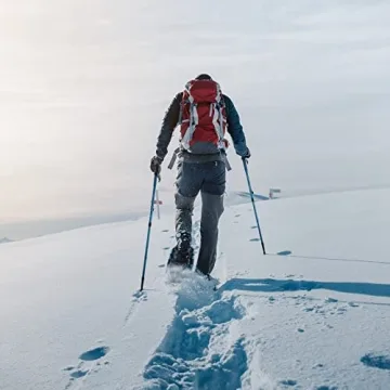 Lightweight Tuxedo Sailor 25" Snowshoes - Enjoy Winter Adventuring!