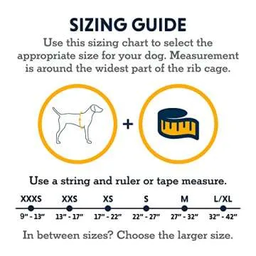 Ruffwear, Hi & Light, Everyday Lightweight Dog Harness, Trail Running, Walking, Hiking, All-Day Wear, Salmon Pink, Large/X-Large