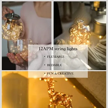 Dimmable Copper String Lights for All Occasions