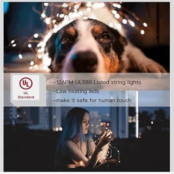 Dimmable Copper String Lights for All Occasions
