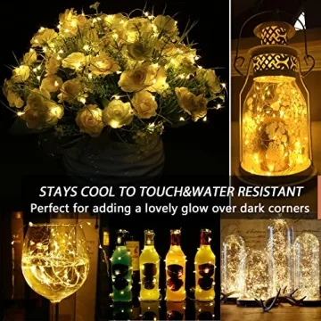 Dimmable Copper String Lights for All Occasions