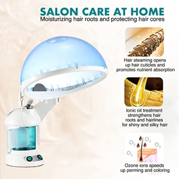 DENFANY 2-in-1 Hair and Facial Steamer for Home Use