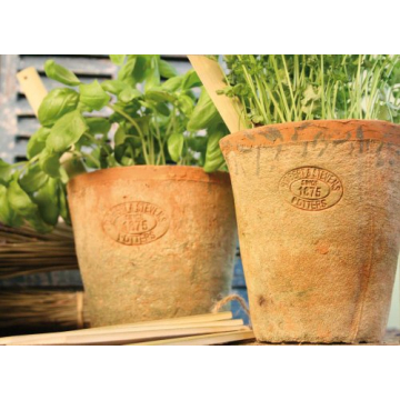 Esschert Design Aged Terracotta Pots Set of 3