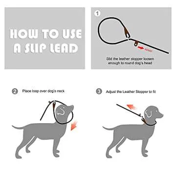 Fida 6 FT Slip Lead for Dogs - Durable & Comfortable Leash