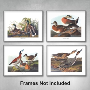 Duck Art - 8x10 Inch Audubon Bird Prints, Set of 4