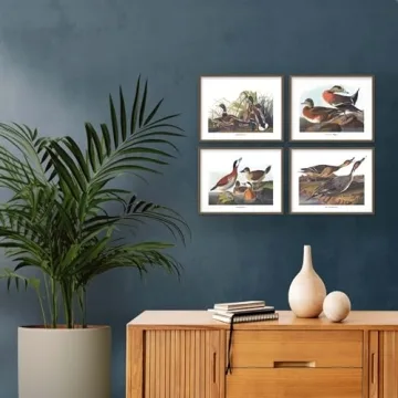 Duck Art - 8x10 Inch Audubon Bird Prints, Set of 4