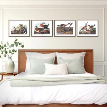 Duck Art - 8x10 Inch Audubon Bird Prints, Set of 4