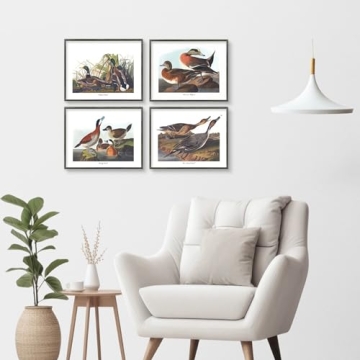 Duck Art - 8x10 Inch Audubon Bird Prints, Set of 4
