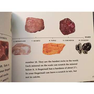 Why Do Leaves Change Color? (Let's-Read-and-Find-Out Science, Stage 2)