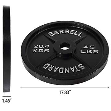 Fitvids Cast Iron Plate Weight Plate for Strength Training and Weightlifting, 2-Inch Center (Olympic), 45LB (Single)