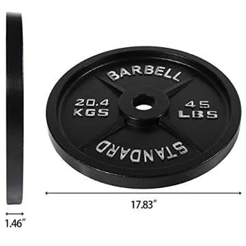 Fitvids Cast Iron Plate Weight Plate for Strength Training and Weightlifting, 2-Inch Center (Olympic), 45LB (Single)