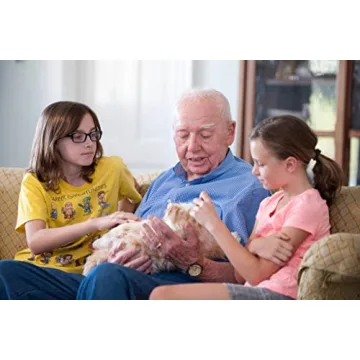 Lifelike JOY FOR ALL Companion Pet Cat for Seniors