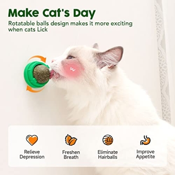 Potaroma Catnip Balls - Safe Natural Toys for Cats