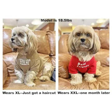 Cute Dog Clothes,Dog T Shirt for Medium Dogs.Dog Clothes for Small Dogs Girl Boy,Puppy.Breathable Soft Dog Costume Pet Dogs Cats,Pet Pullover Jumper,Cat Clothes (M-(7~11lb), Chest~16", Khaki)