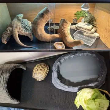 ZUNZINGY Reptile Mat for Bearded Dragons and More - 18 x 36