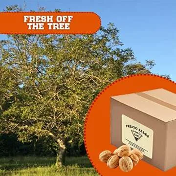 California Walnuts In Shell - Nutrient-Rich & Healthy Snack