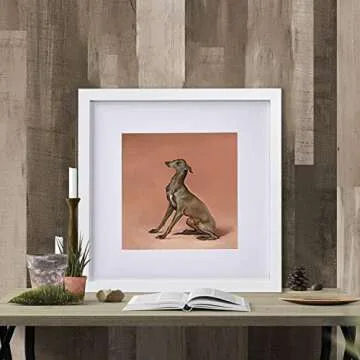 FRAMICS 12x12 Picture Frame Set - Stylish Home Decor