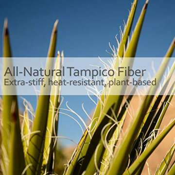 REDECKER Tampico Fiber Bristle 2-Inch All-Purpose Kitchen Dish Scrub Brush with Beechwood Handle - Bamboo Dish Brush Alternative for Pots, Pans, and Kitchen Utensils - Wood Dish Brush