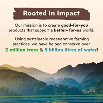 Big Tree Farms Organic Coco Aminos - Liquid Coconut Aminos, Soy-Free Sauce, Low Sodium, Soy Alternative, Gluten Free, Kosher, Marinade & Sauce, Non-GMO - Tangy BBQ, 10 Fl Oz (Pack of 1)