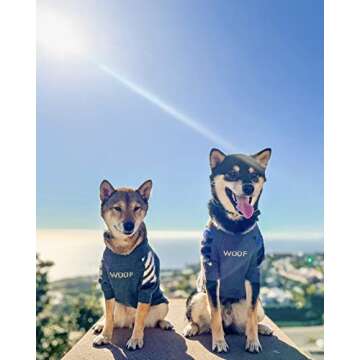 ChoChoCho Woof Knit Dog Sweater, Fashion Design Thermal Knitted Dog Sweaters for Dogs Puppy Small Medium Large, Warm Doggy Sweater Winter Clothes (Panda/Grey, 3XL)