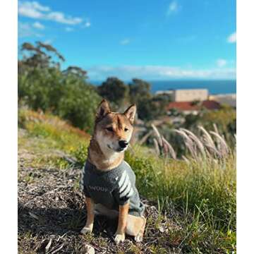 ChoChoCho Woof Knit Dog Sweater, Fashion Design Thermal Knitted Dog Sweaters for Dogs Puppy Small Medium Large, Warm Doggy Sweater Winter Clothes (Panda/Grey, 3XL)