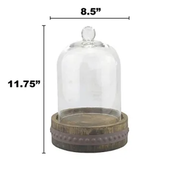 Stonebriar 12-Inch Rustic Glass Dome Cloche for Decor
