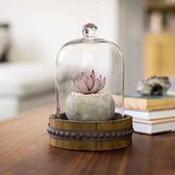 Stonebriar 12-Inch Rustic Glass Dome Cloche for Decor