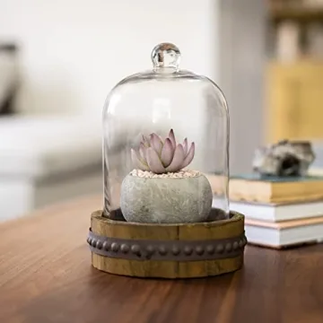 Stonebriar 12-Inch Rustic Glass Dome Cloche for Decor