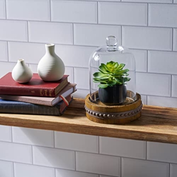 Stonebriar 12-Inch Rustic Glass Dome Cloche for Decor