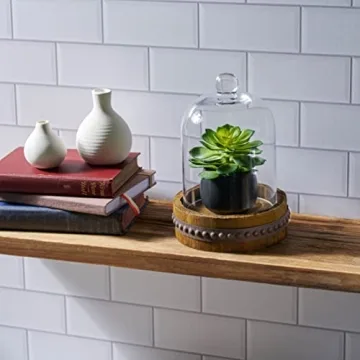 Stonebriar 12-Inch Rustic Glass Dome Cloche for Decor