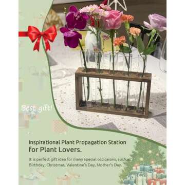 Ivolador Wall Mounted Hanging Plants Test Tube Flower Bud Tabletop Glass Terrarium Wooden Stand with 5 Test Tube Perfect for Propagating Hydroponic Plants Home Garden Wedding Decoration