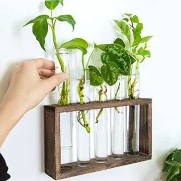 Ivolador Wall Mounted Hanging Plants Test Tube Flower Bud Tabletop Glass Terrarium Wooden Stand with 5 Test Tube Perfect for Propagating Hydroponic Plants Home Garden Wedding Decoration