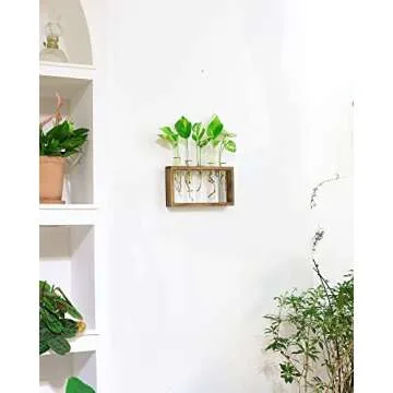 Ivolador Wall Mounted Hanging Plants Test Tube Flower Bud Tabletop Glass Terrarium Wooden Stand with 5 Test Tube Perfect for Propagating Hydroponic Plants Home Garden Wedding Decoration