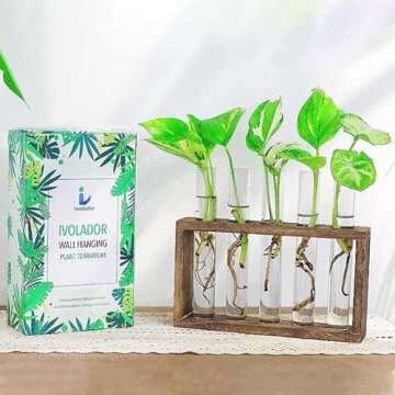 Ivolador Wall Mounted Hanging Plants Test Tube Flower Bud Tabletop Glass Terrarium Wooden Stand with 5 Test Tube Perfect for Propagating Hydroponic Plants Home Garden Wedding Decoration