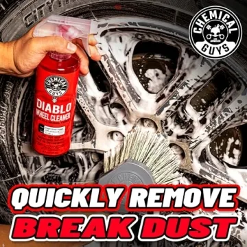 Chemical Guys Car Wash Starter Kit for All Vehicles