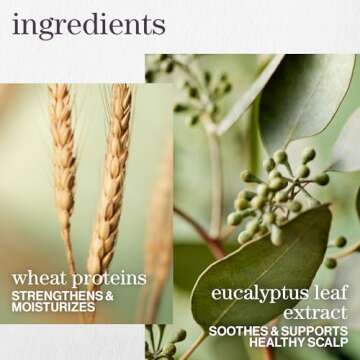 Pureology Hydrate Sheer Nourishing Shampoo | For Fine, Dry Color Treated Hair | Sulfate-Free | Silicone-Free | Vegan