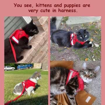 Adjustable Cat Harness & Leash Set for Outdoor Fun