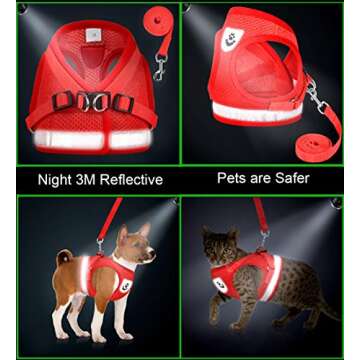 Adjustable Cat Harness & Leash Set for Outdoor Fun