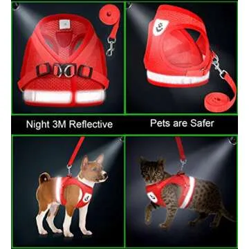 Adjustable Cat Harness & Leash Set for Outdoor Fun