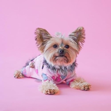Fitwarm Sweet Cupcake Dog Pajamas for Winter Warmth