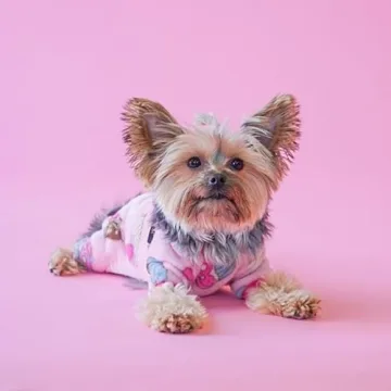 Fitwarm Sweet Cupcake Dog Pajamas for Winter Warmth