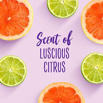 Aussie Paraben-Free Miracle Moist Shampoo for Dry Hair, Avocado & Jojoba, 360ml, Pack of 6