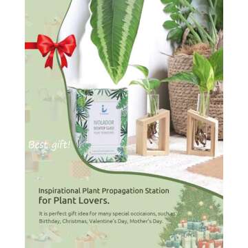 Ivolador Glass Propagation Glass Test Tube Plant Terrarium for Hydroponic Plants Home Garden Decoration-Mini