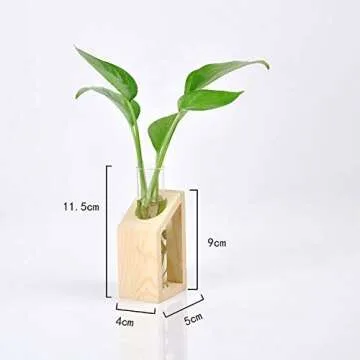 Ivolador Glass Propagation Glass Test Tube Plant Terrarium for Hydroponic Plants Home Garden Decoration-Mini